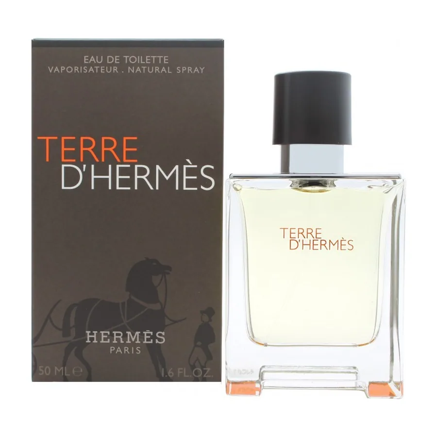 Hermès Terre d'Hermes 100ml Eau de Toilette Spray