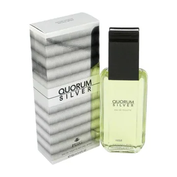 Puig Quorum Silver Eau de Toilette Spray 100ml
